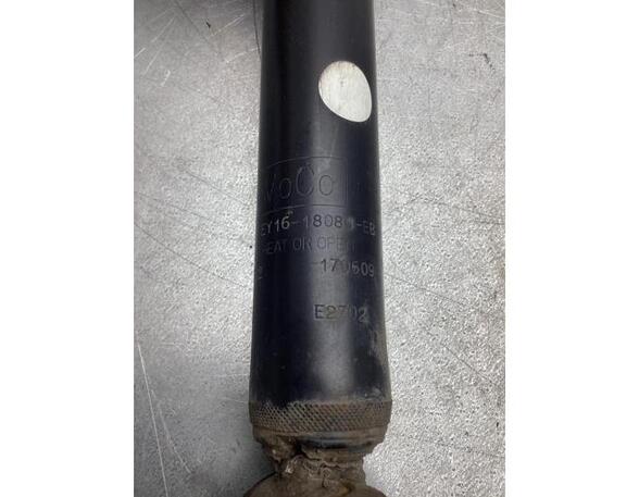 Shock Absorber FORD TRANSIT COURIER B460 Box Body/MPV