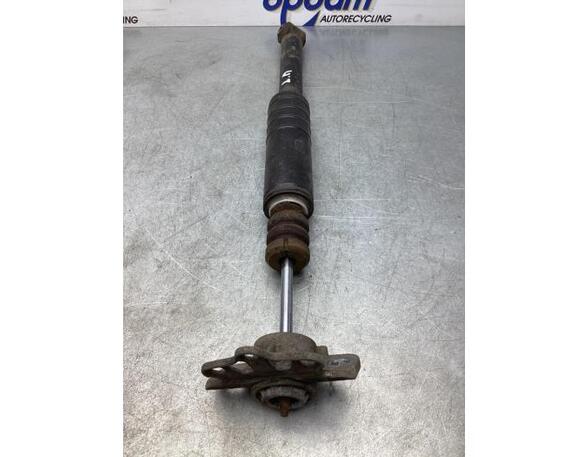 Shock Absorber FIAT PUNTO (188_)