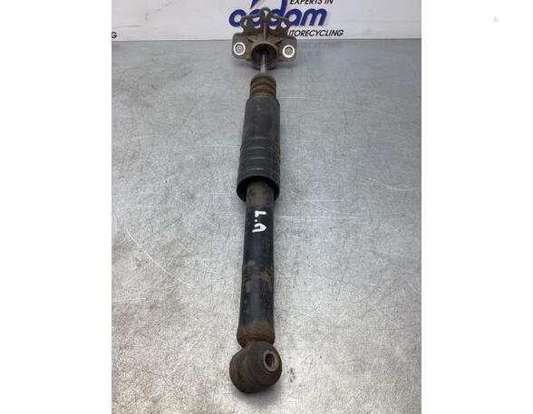 Shock Absorber FIAT PUNTO (188_)