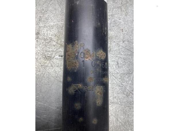 Shock Absorber FIAT PUNTO (188_)