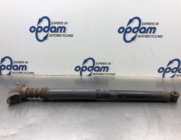 Shock Absorber FORD FOCUS C-MAX (DM2), FORD C-MAX (DM2)