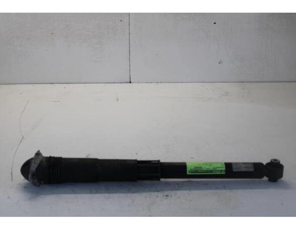 Shock Absorber VW GOLF VII (5G1, BQ1, BE1, BE2)