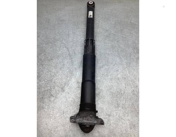 Shock Absorber SKODA OCTAVIA III Combi (5E5, 5E6)