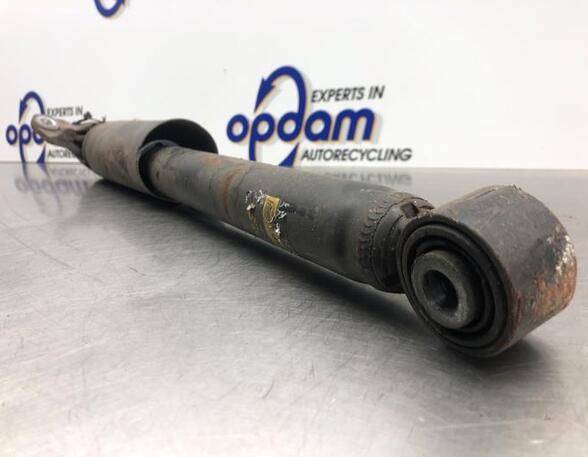 Shock Absorber OPEL INSIGNIA A Sports Tourer (G09)