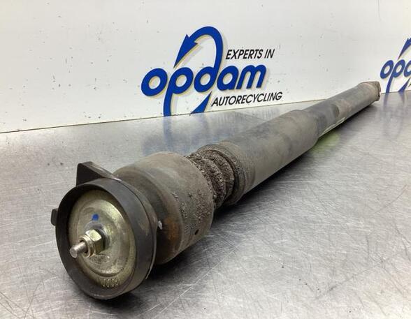 Shock Absorber FORD FOCUS (DAW, DBW)