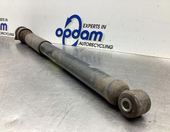 Shock Absorber FORD FOCUS (DAW, DBW)