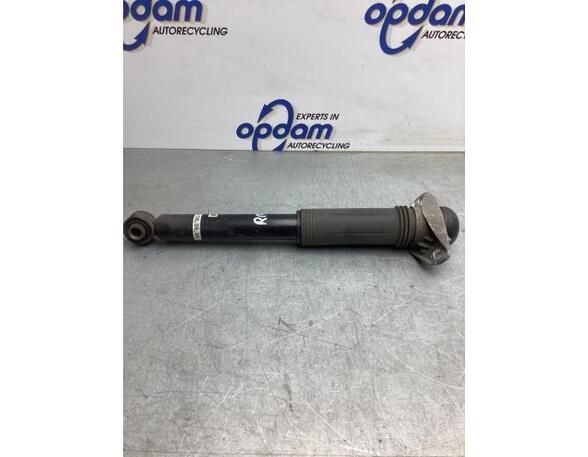 Shock Absorber TOYOTA COROLLA Estate (_E21_)