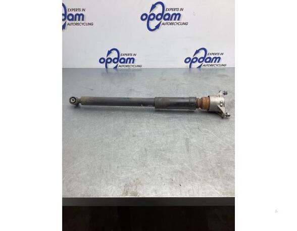 Shock Absorber MERCEDES-BENZ B-CLASS (W246, W242)