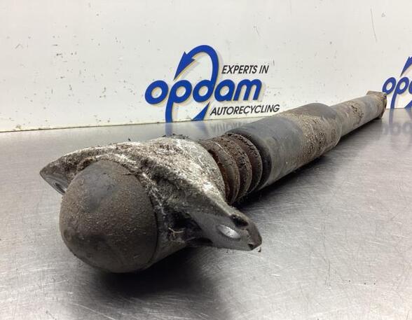 Shock Absorber VW TIGUAN (5N_), VW TIGUAN VAN (5N_)