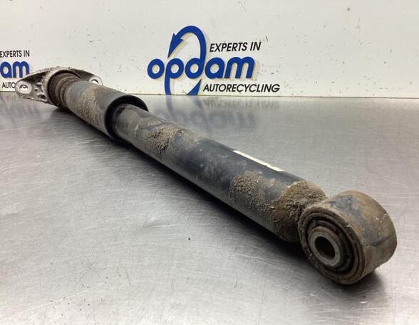 Shock Absorber VW TIGUAN (5N_), VW TIGUAN VAN (5N_)