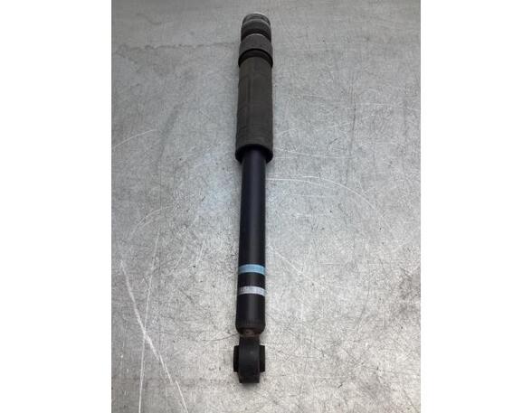 Shock Absorber SUZUKI IGNIS III (MF)