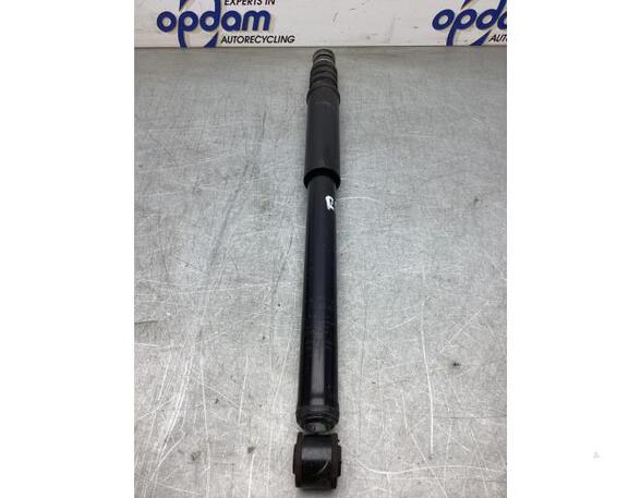 Shock Absorber DACIA JOGGER (RK_)