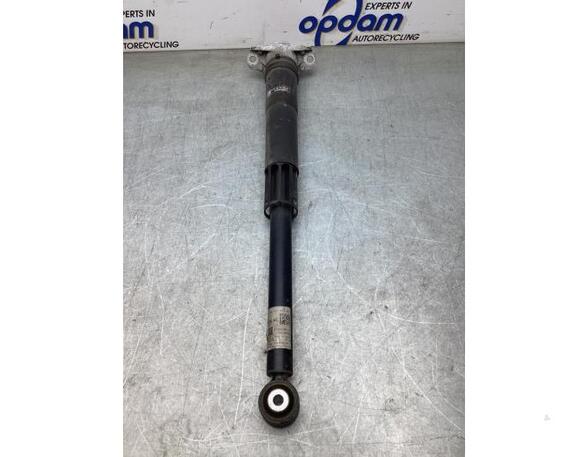 Shock Absorber VW POLO (AW1, BZ1)