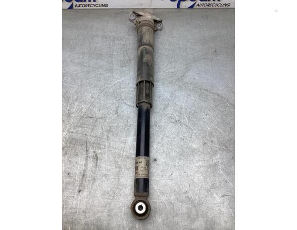 Shock Absorber VW T-CROSS (C11_)