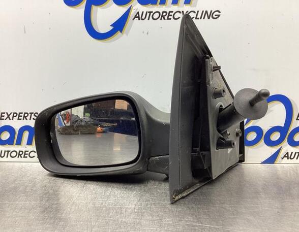 Wing (Door) Mirror RENAULT CLIO III (BR0/1, CR0/1), RENAULT CLIO II (BB_, CB_), RENAULT CLIO IV (BH_)