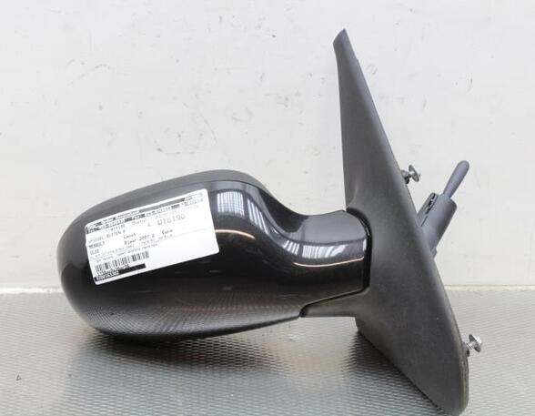 Wing (Door) Mirror RENAULT CLIO II (BB_, CB_), RENAULT CLIO III (BR0/1, CR0/1), RENAULT THALIA I (LB_)