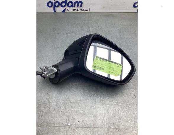 Wing (Door) Mirror RENAULT CLIO V (B7_)