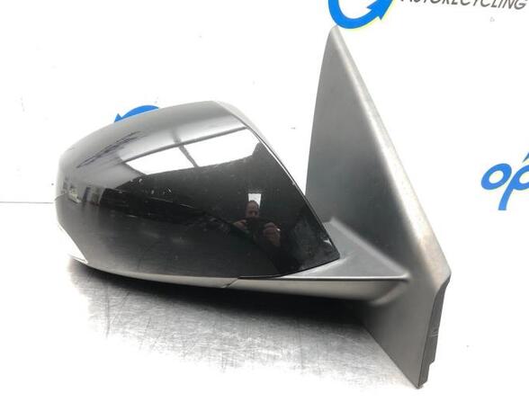 Wing (Door) Mirror RENAULT LAGUNA III (BT0/1)