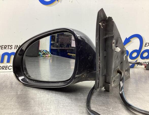 Wing (Door) Mirror VW JETTA III (1K2)