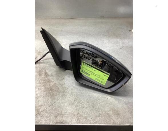 Wing (Door) Mirror SKODA SCALA (NW1)