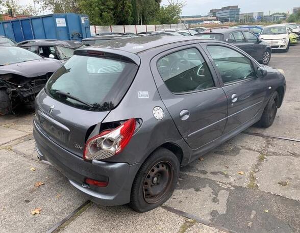 Außenspiegel rechts Peugeot 206+ T3E 8154JC P21224035