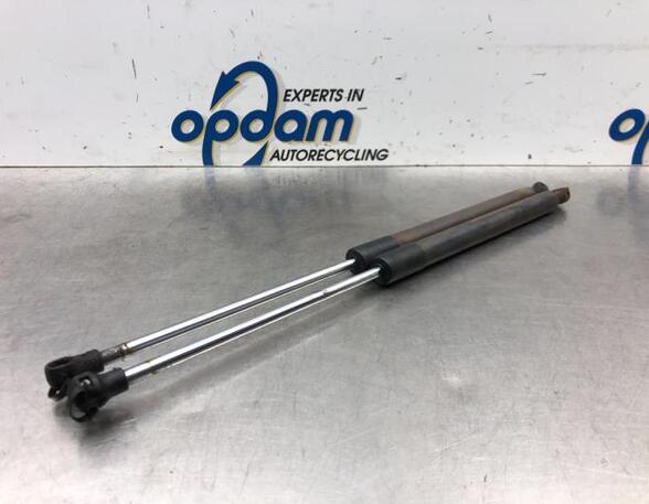 Gas Spring RENAULT CLIO III (BR0/1, CR0/1), RENAULT CLIO II (BB_, CB_), RENAULT CLIO IV (BH_)