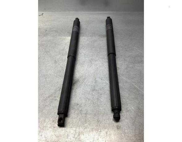 Gas Spring BMW X5 (E70), BMW X6 (E71, E72), BMW X3 (F25)