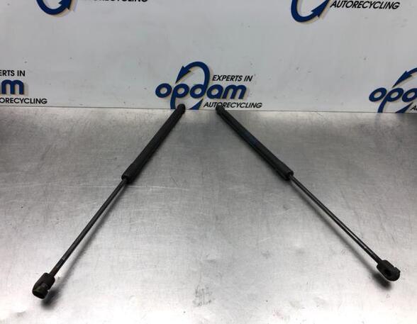 Gas Spring VW POLO (6R1, 6C1), VW POLO Van (6R)