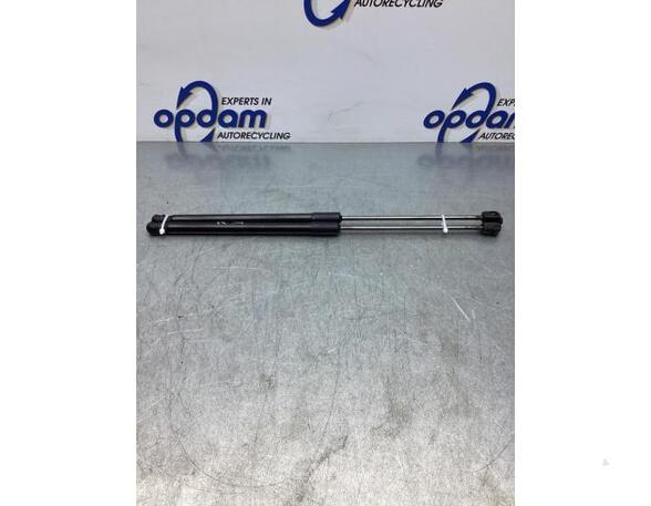 Gas Spring VW POLO (AW1, BZ1)