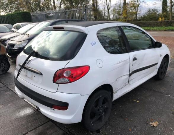 Boot (Trunk) Lid PEUGEOT 206+ (2L_, 2M_)