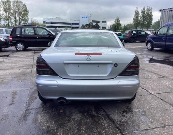 Boot (Trunk) Lid MERCEDES-BENZ SLK (R170)