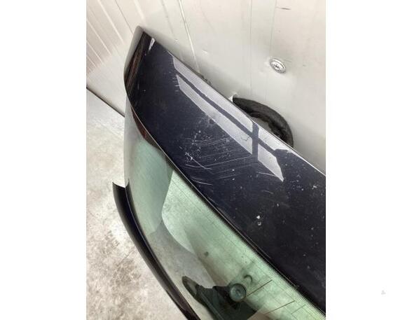 Boot (Trunk) Lid PEUGEOT 207 (WA_, WC_)