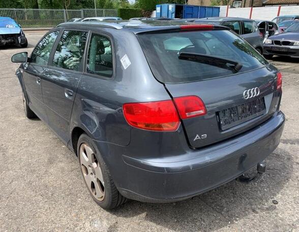 Boot (Trunk) Lid AUDI A3 (8P1), AUDI A3 Sportback (8PA)