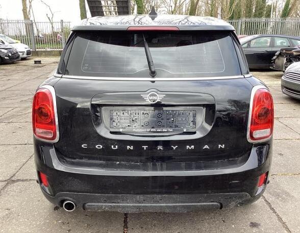 Boot (Trunk) Lid MINI MINI COUNTRYMAN (F60)