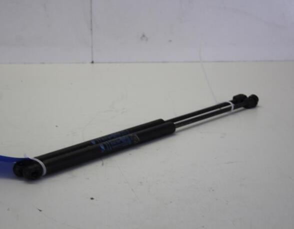 Bootlid (Tailgate) Gas Strut Spring LANCIA YPSILON (843_)