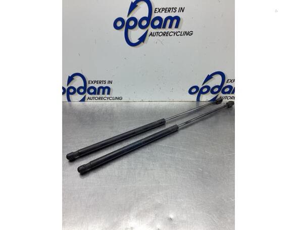 Bootlid (Tailgate) Gas Strut Spring FORD C-MAX (DM2), FORD FOCUS C-MAX (DM2), FORD KUGA I, FORD KUGA II (DM2)