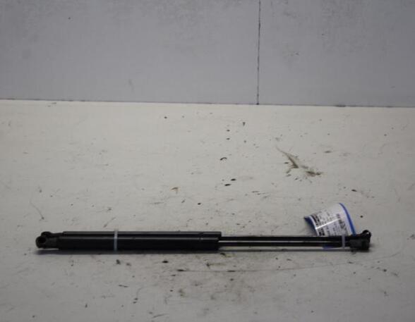 Bootlid (Tailgate) Gas Strut Spring FIAT GRANDE PUNTO (199_), FIAT PUNTO EVO (199_), FIAT PUNTO (199_), ABARTH GRANDE PUNTO