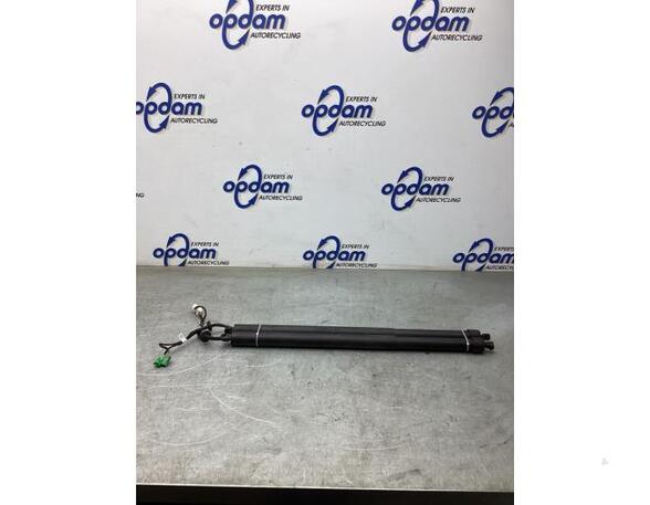 Bootlid (Tailgate) Gas Strut Spring PEUGEOT 5008 II (MC_, MJ_, MR_, M4_)