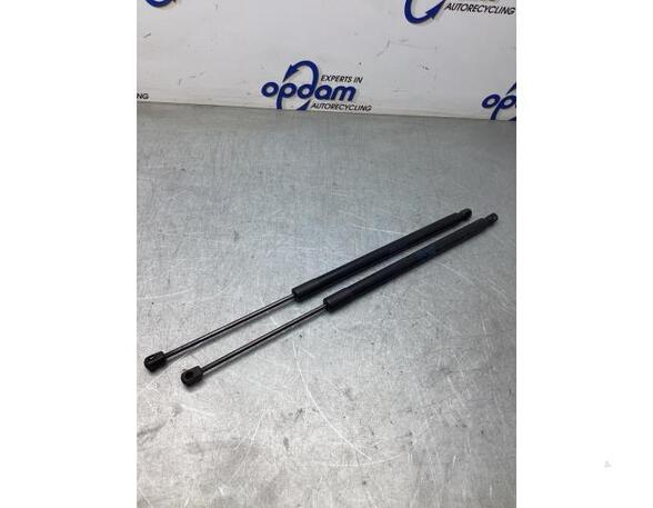 Bootlid (Tailgate) Gas Strut Spring VW TIGUAN (AD1, AX1), VW TIGUAN ALLSPACE (BW2), VW TOUAREG (CR7)