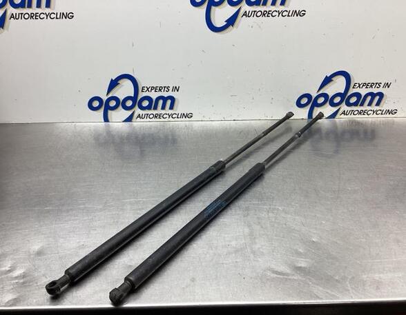 Bootlid (Tailgate) Gas Strut Spring RENAULT KANGOO (KC0/1_)