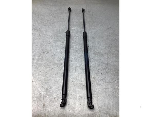 Bootlid (Tailgate) Gas Strut Spring DACIA JOGGER (RK_)