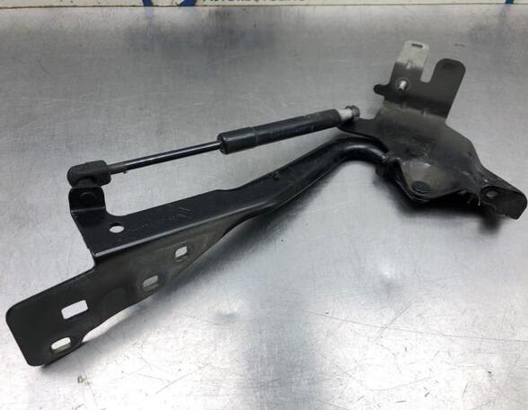 Bonnet Hinge RENAULT GRAND SCÉNIC III (JZ0/1_), RENAULT SCÉNIC III (JZ0/1_)