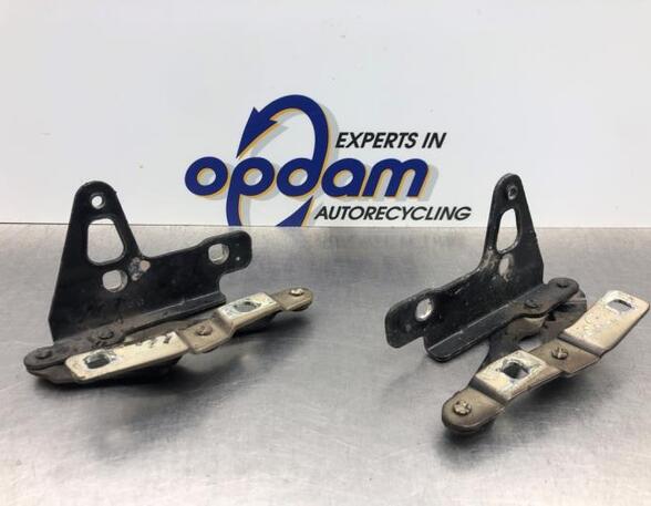 Bonnet Hinge SEAT LEON (1P1)