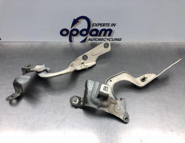 Bonnet Hinge RENAULT CAPTUR I (J5_, H5_), RENAULT CLIO IV (BH_)