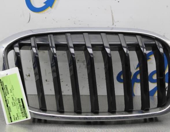 Radiator Grille BMW 2 Active Tourer (F45)