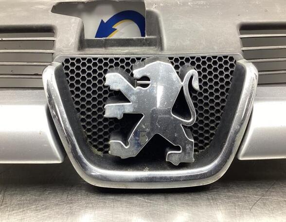 Radiateurgrille PEUGEOT 206 CC (2D)