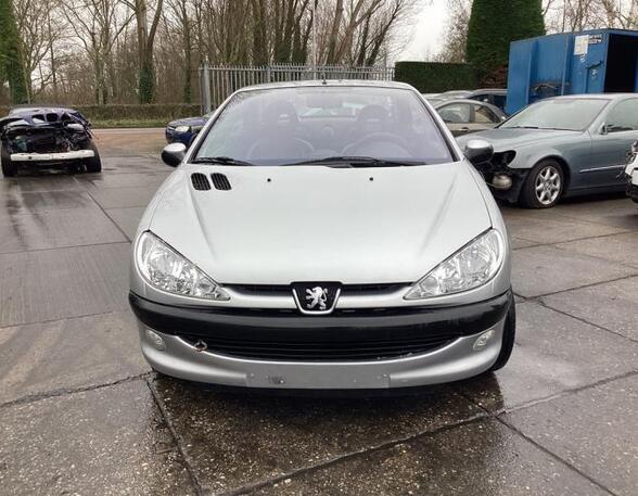 Radiator Grille PEUGEOT 206 CC (2D)