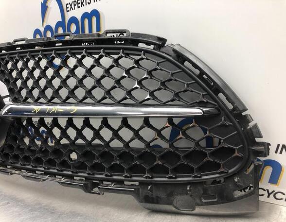 Radiator Grille MERCEDES-BENZ C-CLASS (W206)