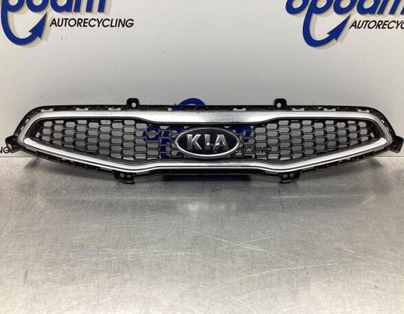 Radiator Grille KIA PICANTO (TA), KIA PICANTO (JA)