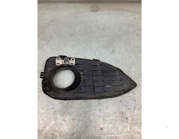 Radiator Grille BMW 1 (F20)